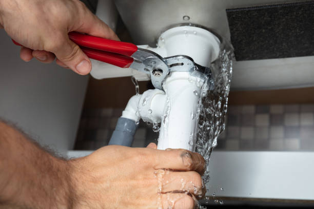 Best Water damage contractors near me  in Piney Mountain, VA