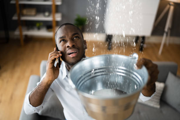 Best Ceiling water damage repair  in Piney Mountain, VA