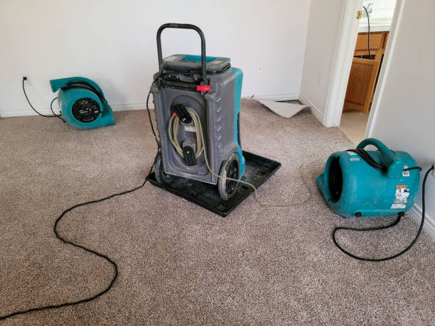 Best Water damage restoration near me  in Piney Mountain, VA