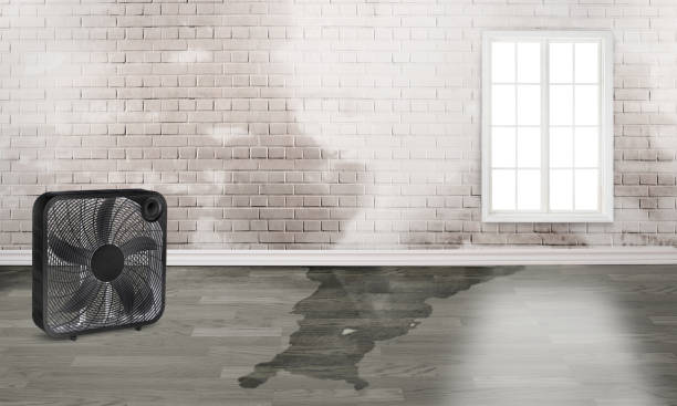 Best 24/7 water damage repair  in Piney Mountain, VA