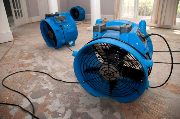 Best Water damage restoration experts  in Piney Mountain, VA