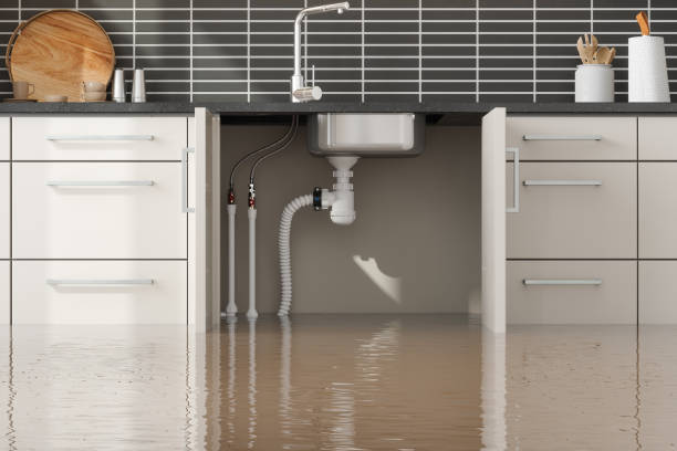 Best Basement water damage restoration  in Piney Mountain, VA